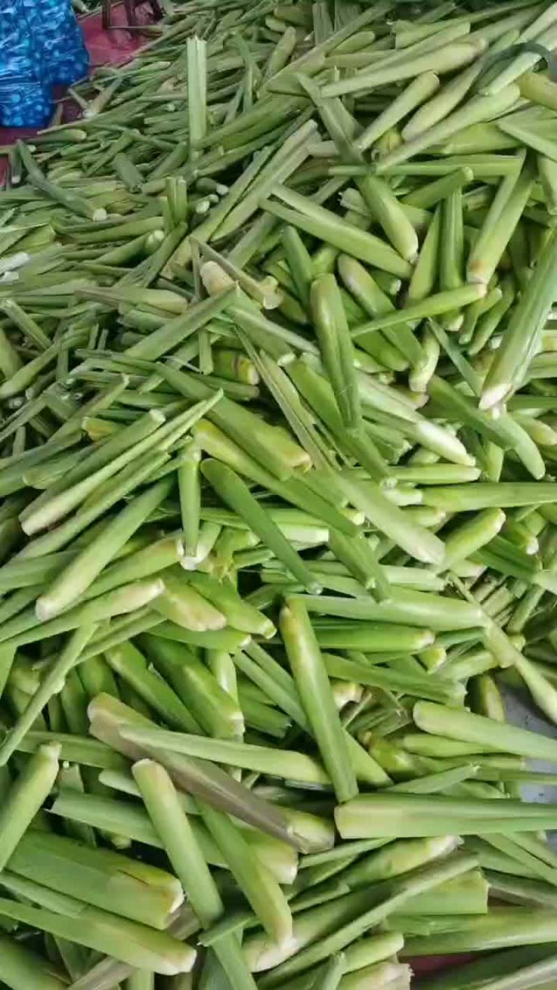 磐安县单季茭白