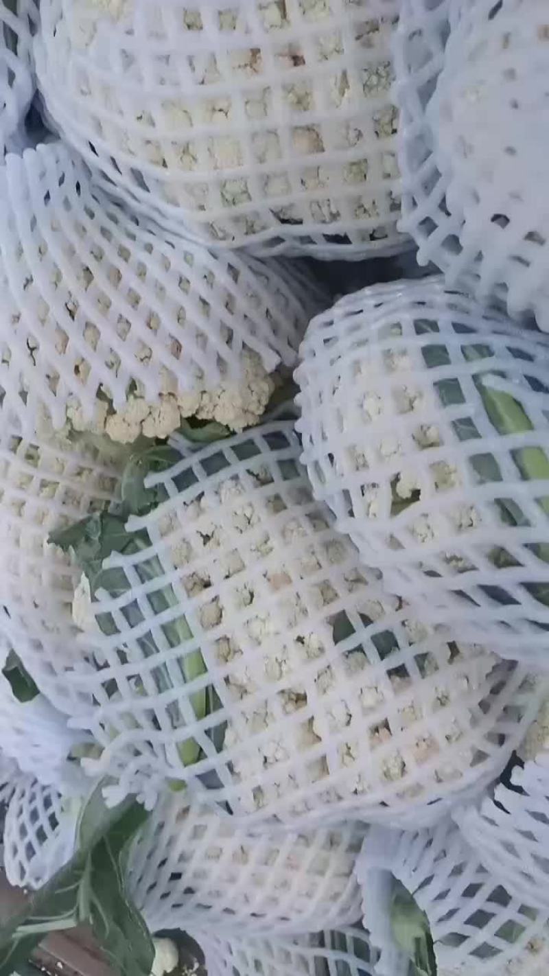 松花
