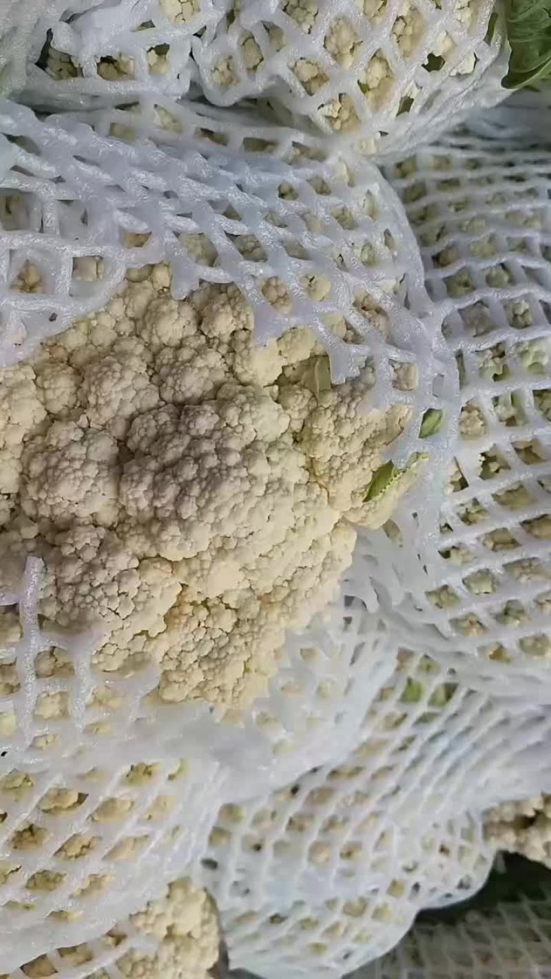 松花