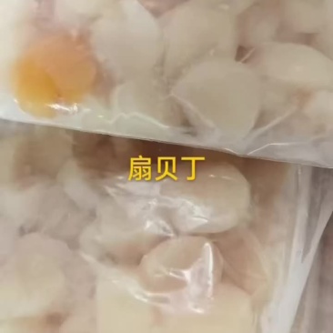 扇贝丁