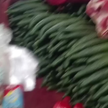 黄瓜