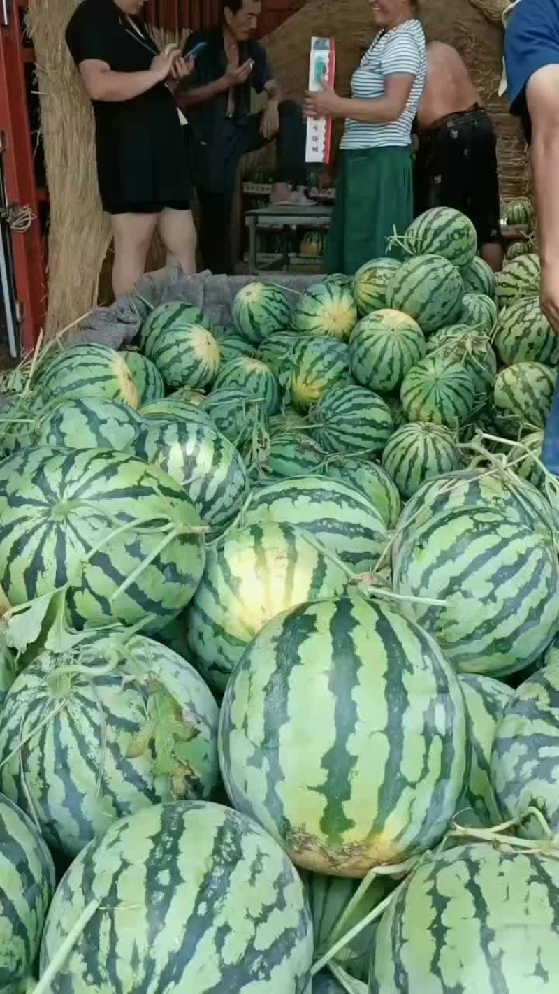 西瓜甜瓜