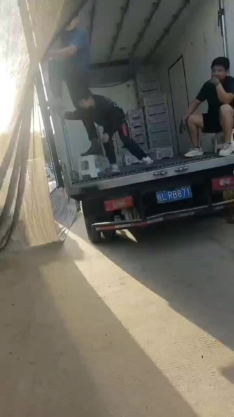 陕西维多利亚青提货源充足全国代整车代发欢迎采购合作