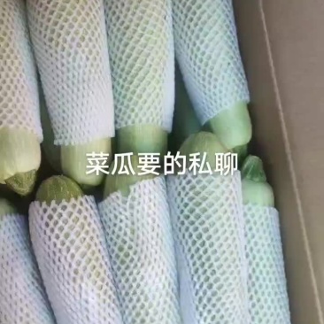 菜瓜，