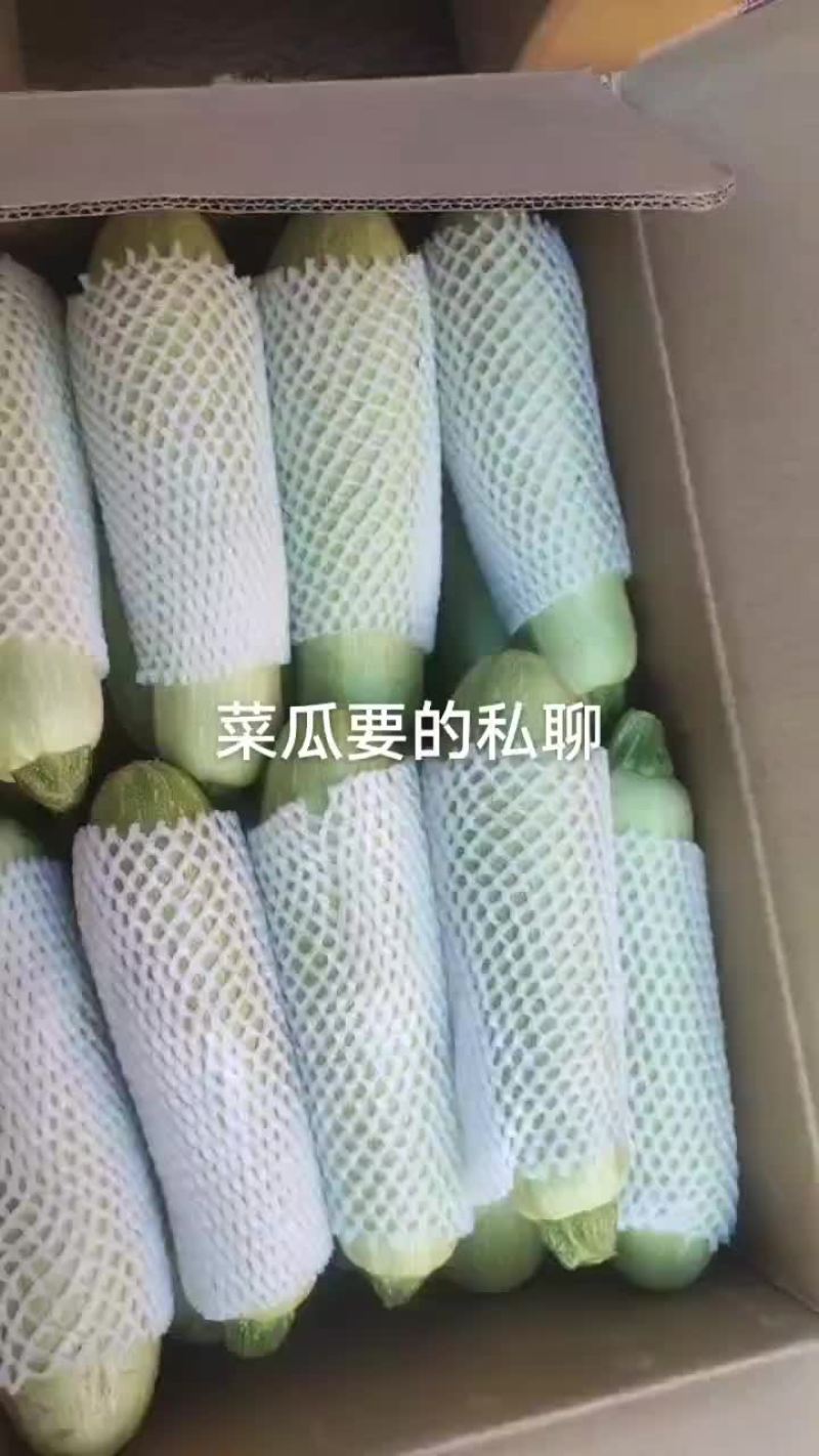 菜瓜，