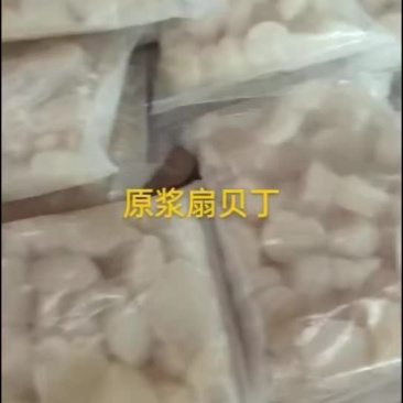 扇贝丁