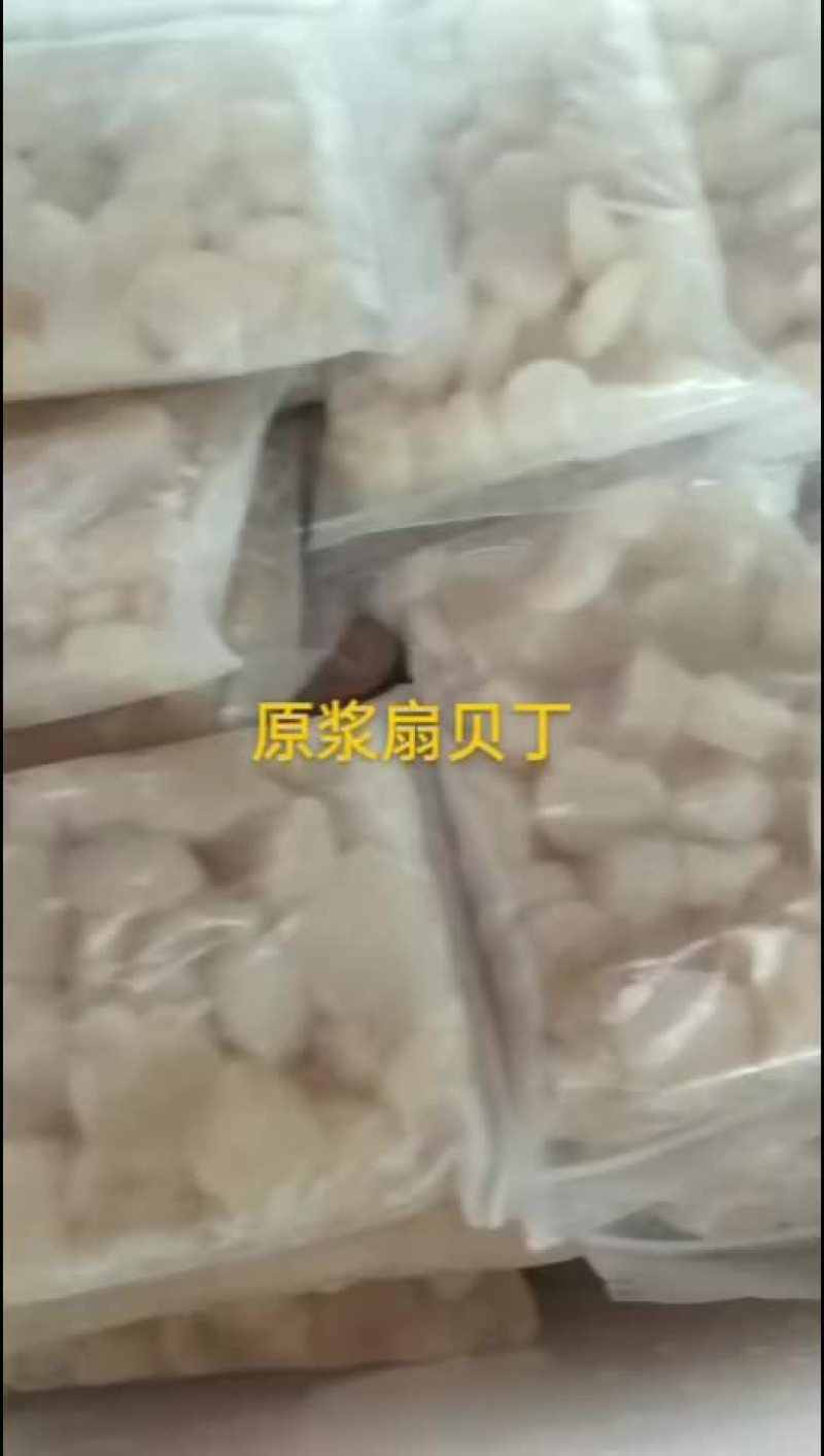 扇贝丁