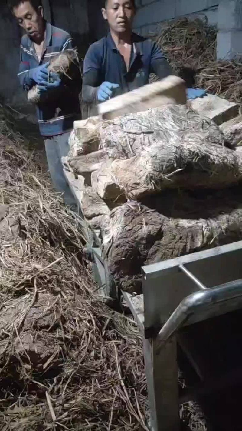酱香大曲