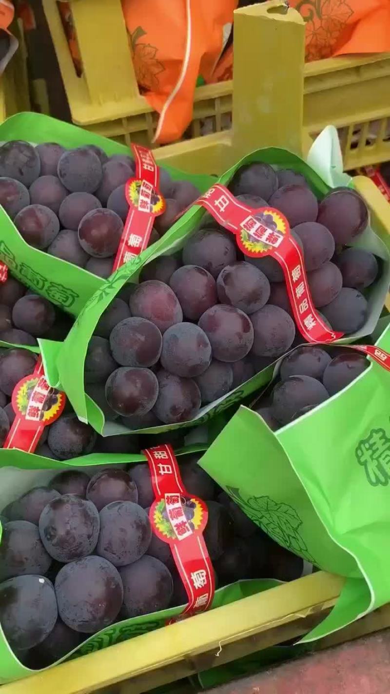 乒乓球，夏黑，维多利亚，阳光玫瑰