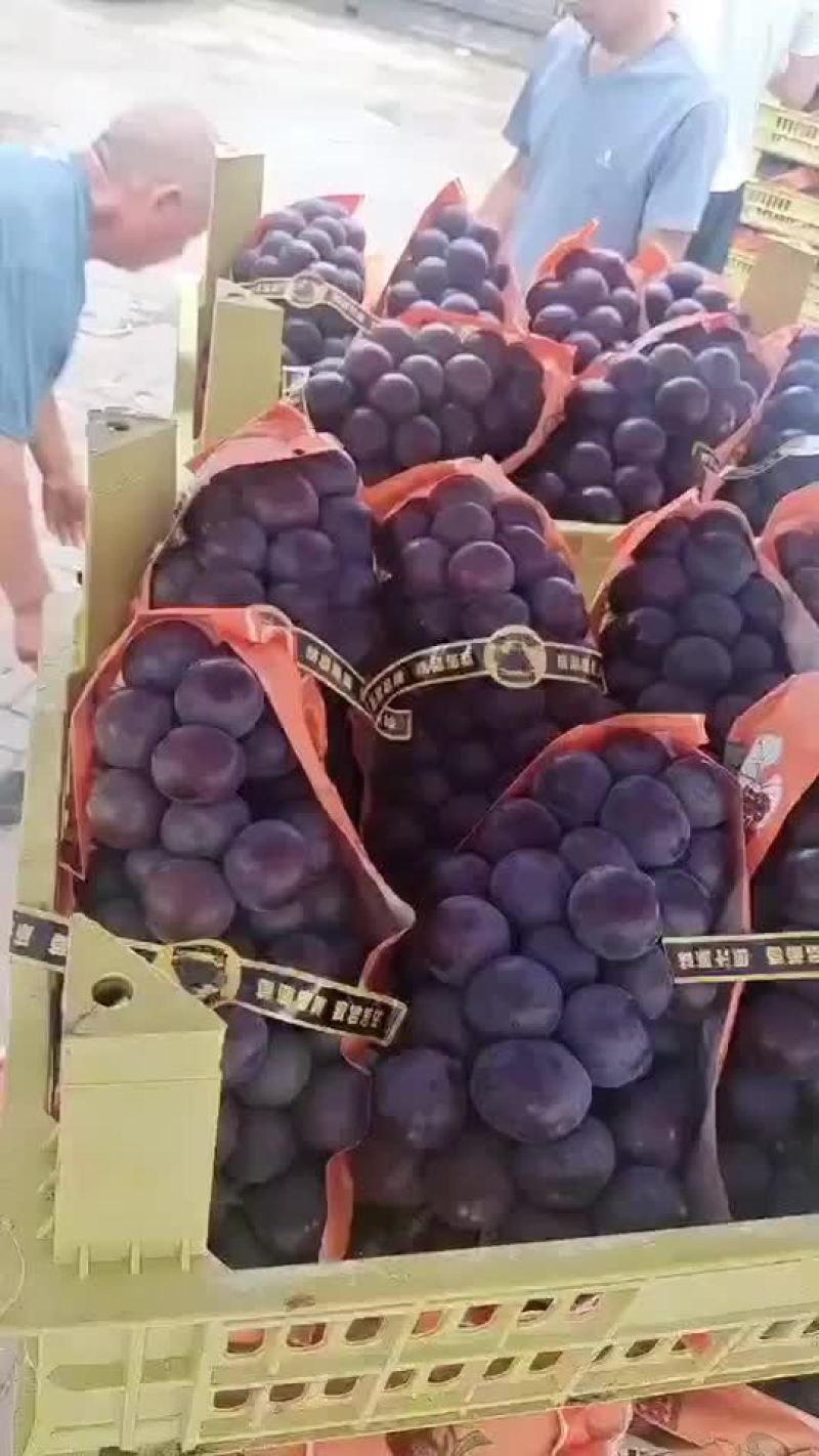 乒乓球，夏黑，维多利亚，阳光玫瑰