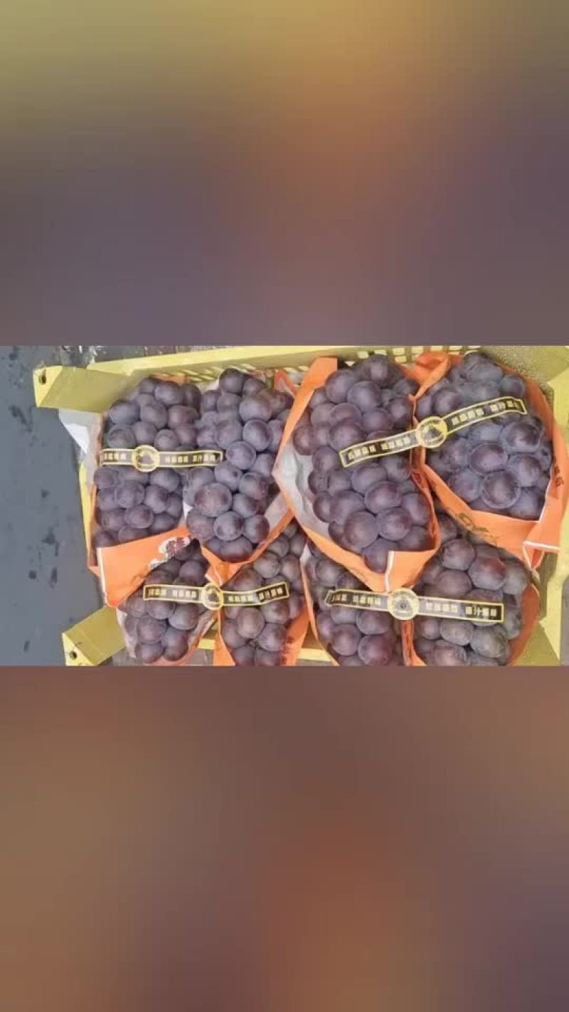 乒乓球，夏黑，维多利亚，阳光玫瑰