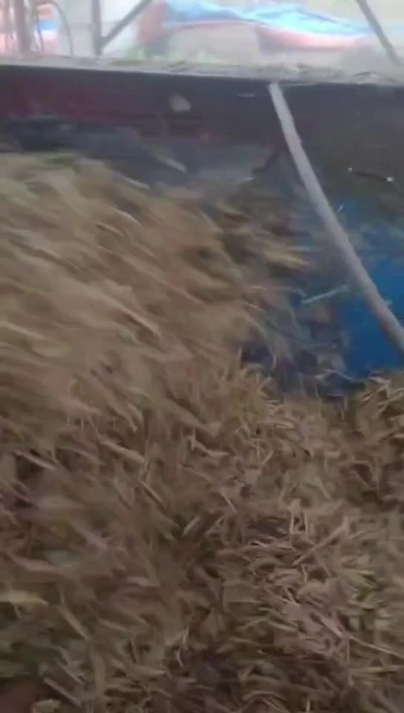 精品稻草轧锻