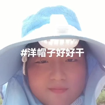 板栗红薯大量有货要的联系
