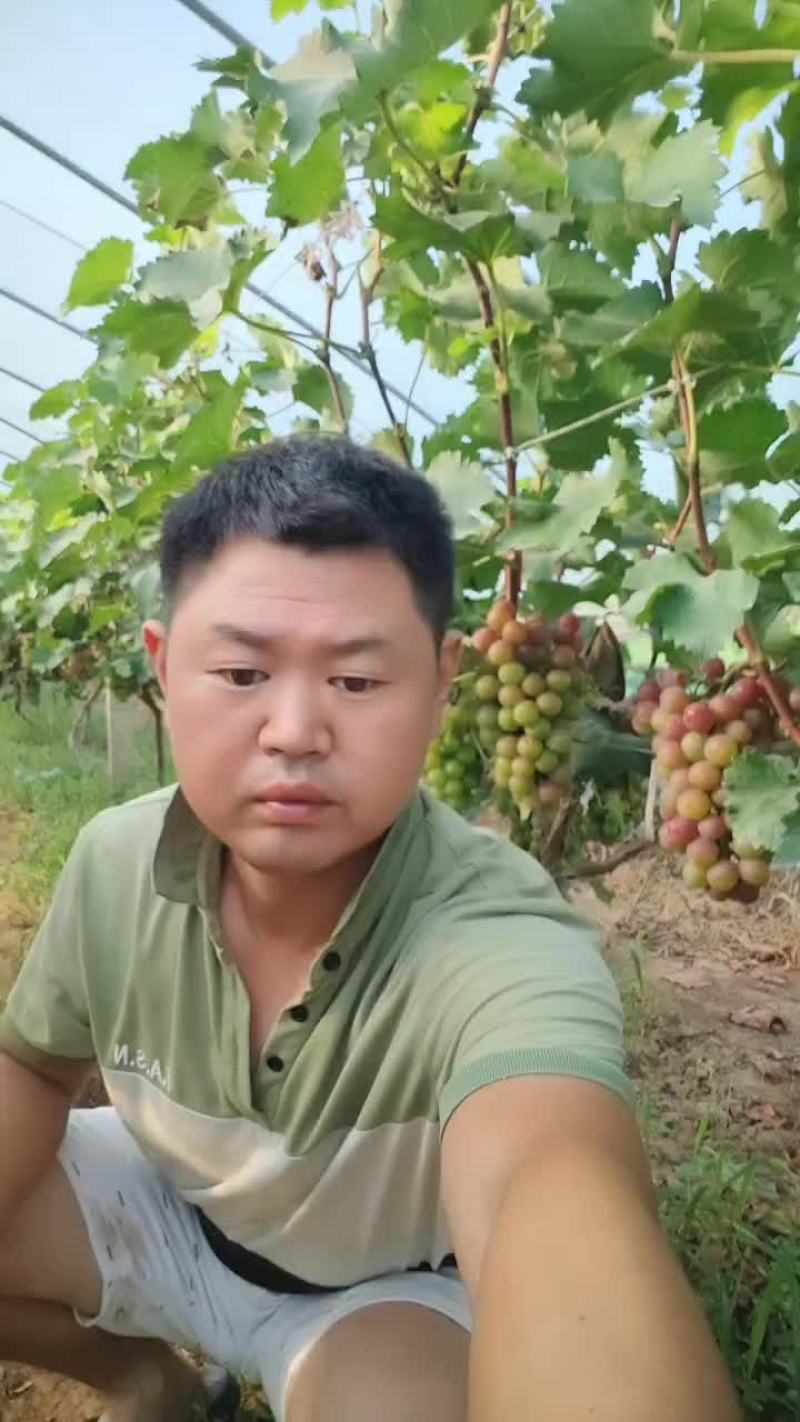葡萄熟了