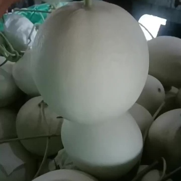 河北玉菇