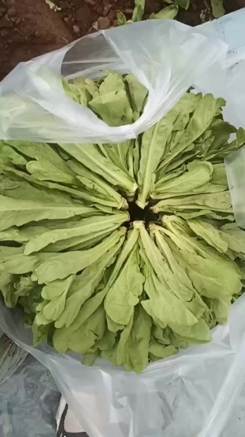 有自提的没