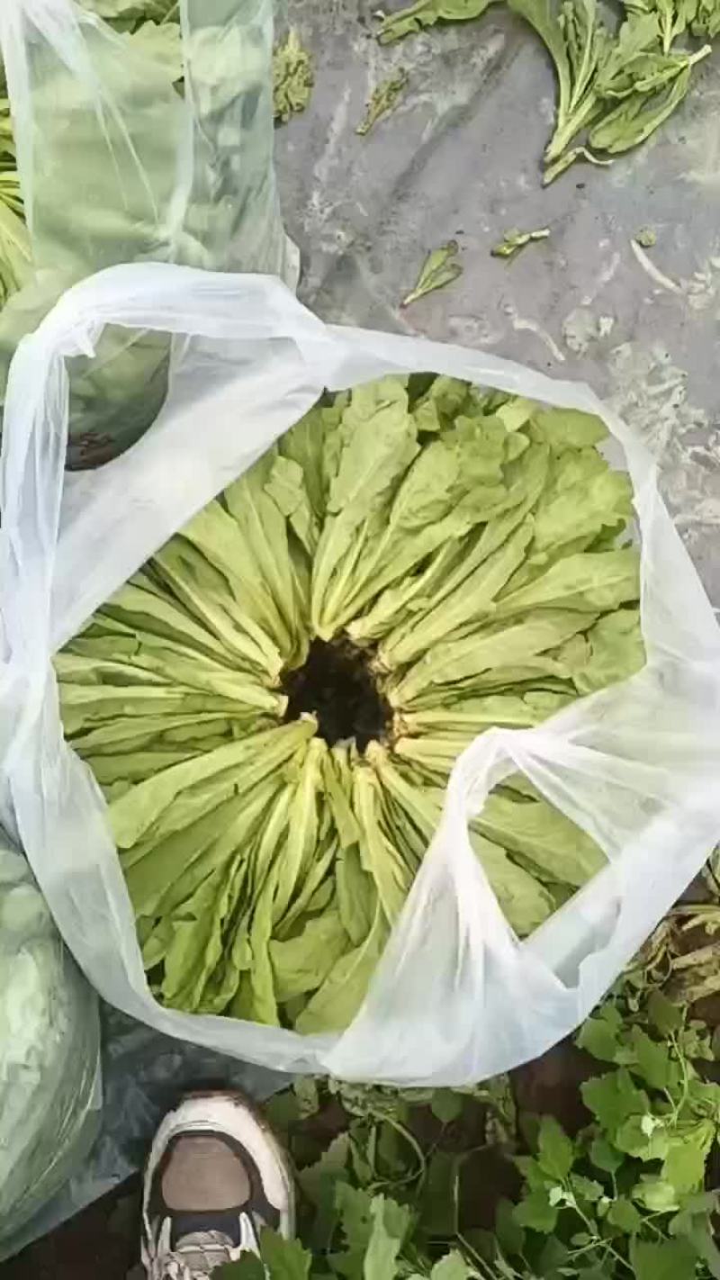 有自提的没