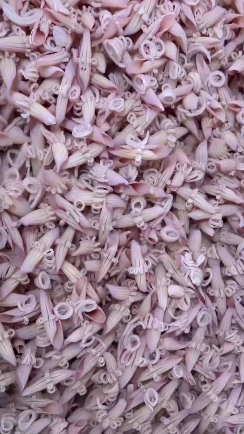 牛角花，可以不同原料定做，可以加冰衣，价格便宜，品质保证