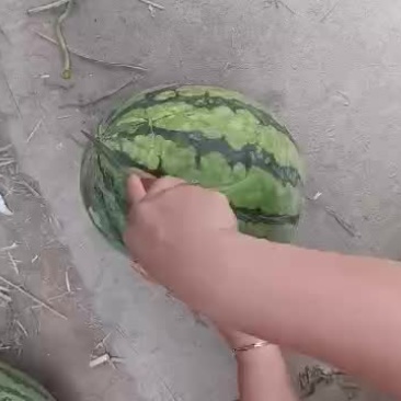 美嘟大量上市，场地大，倒车，停车方便