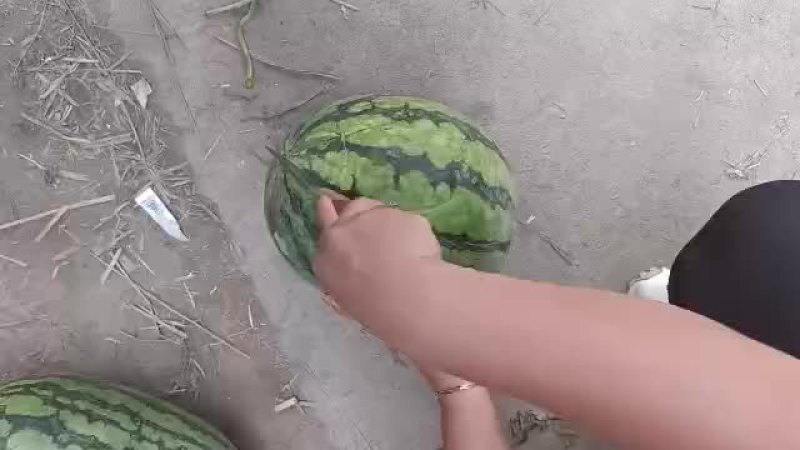 美嘟大量上市，场地大，倒车，停车方便