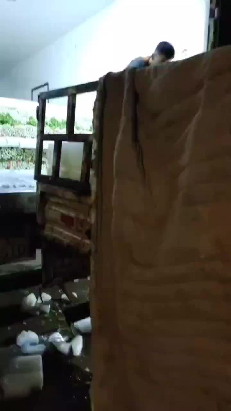 精品毛芹