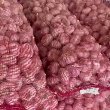精品大混级，蒜米料