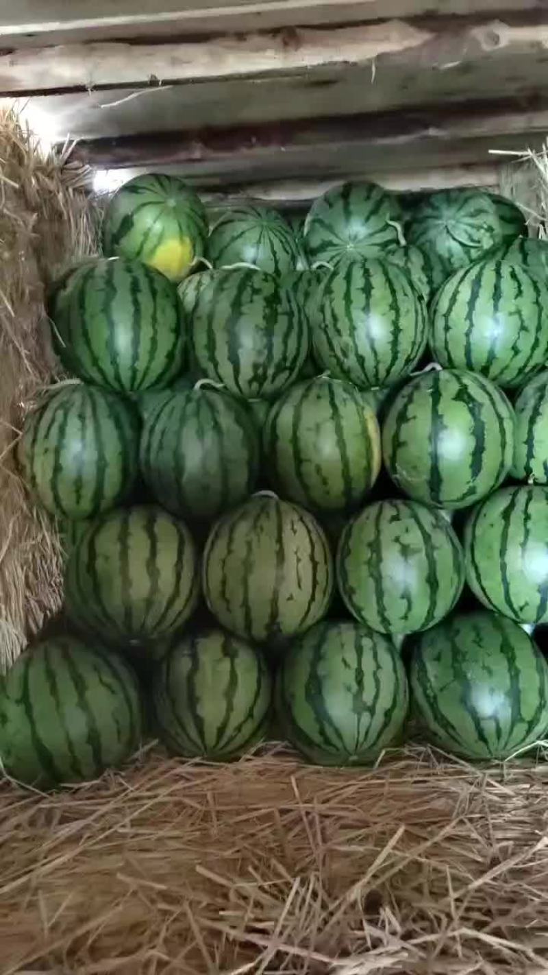 精品瓜蒌