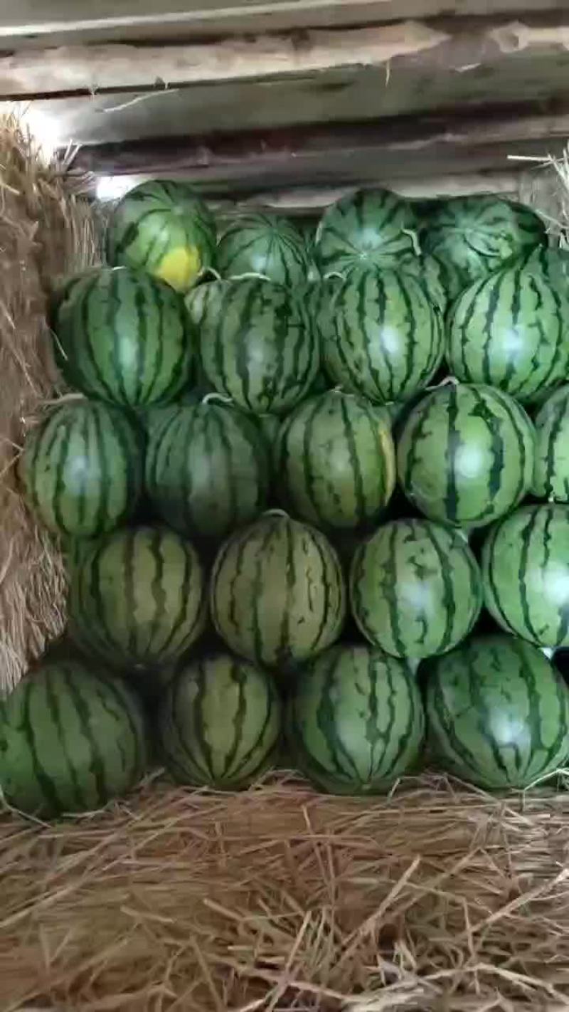 精品瓜蒌