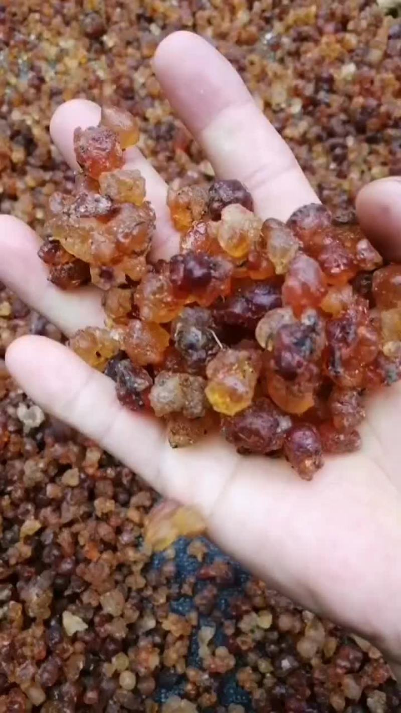桃胶