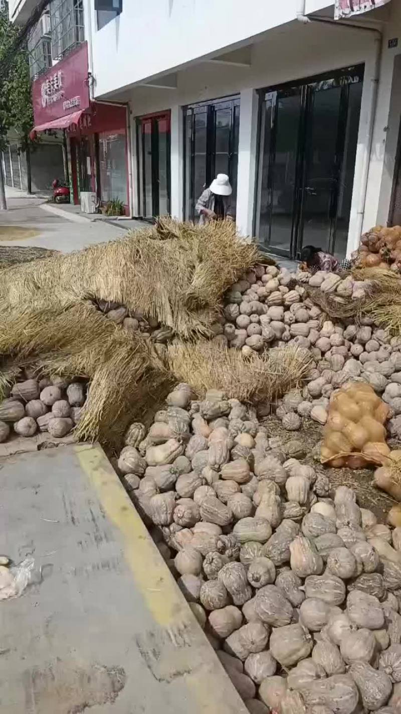 花生南瓜