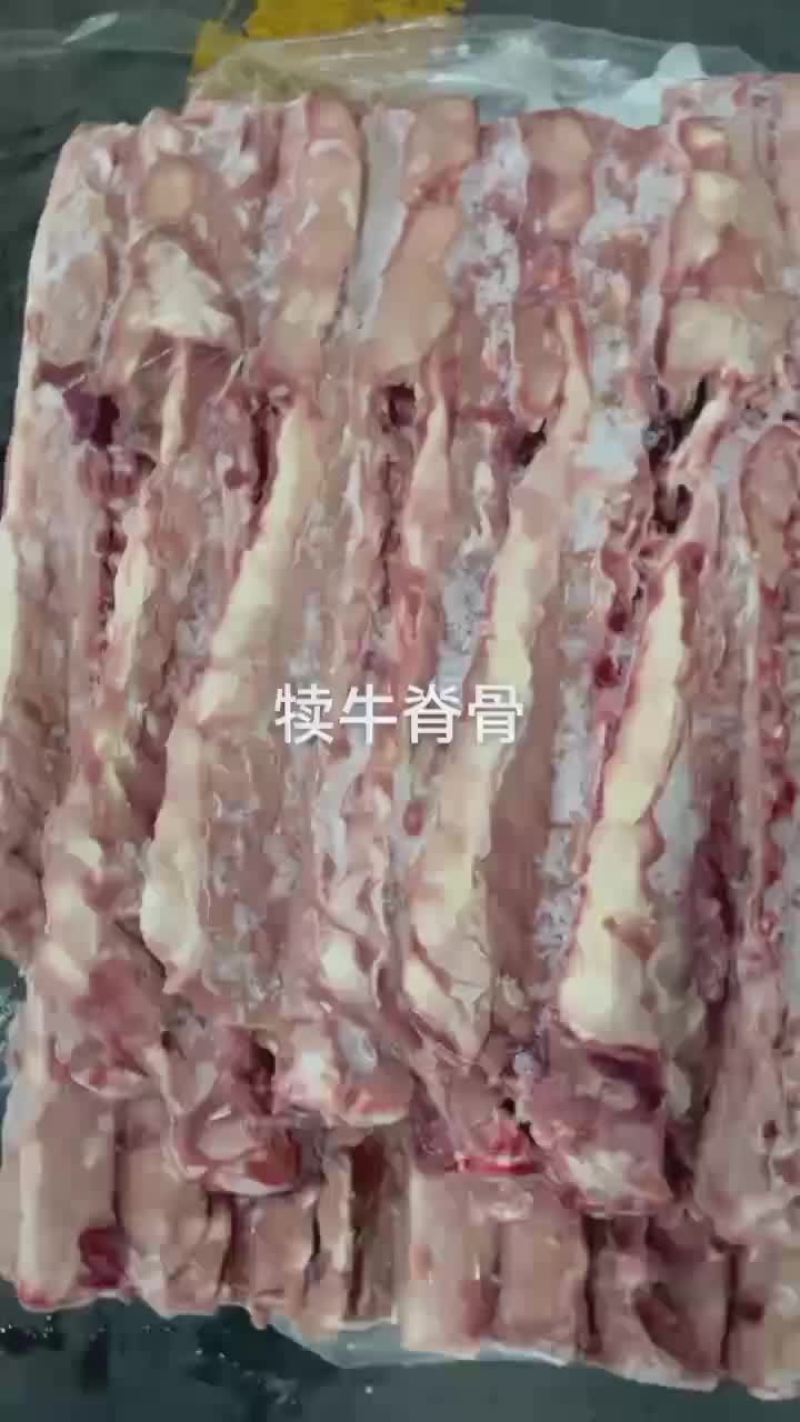 犊牛脊骨