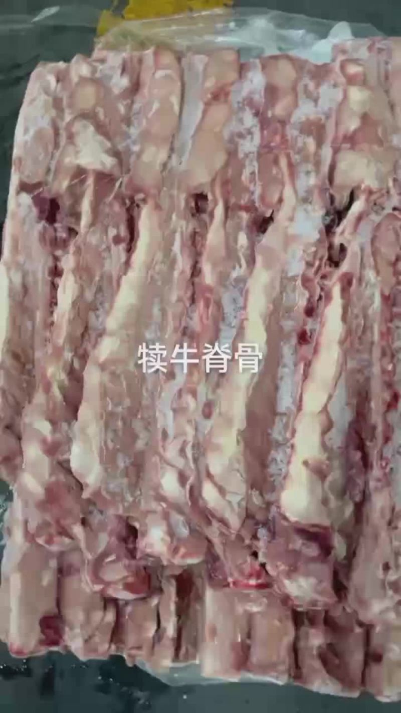犊牛脊骨