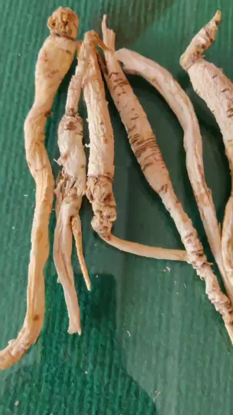 24年野生刮皮南沙参