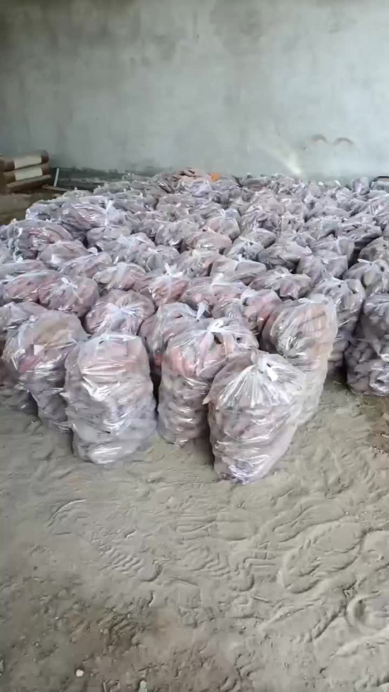 板栗红薯大量上市要的老板联系