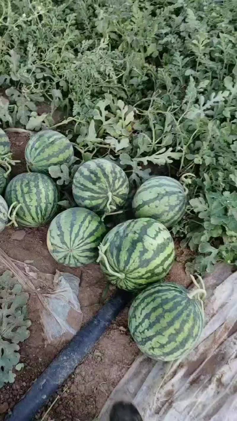 麒麟瓜