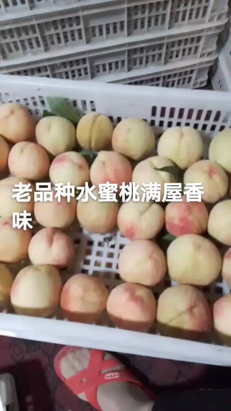 正宗奉化老品种水蜜桃，水份充足，香甜可口