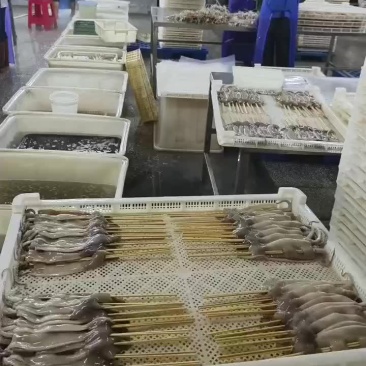 各种鱿鱼串量大从优。