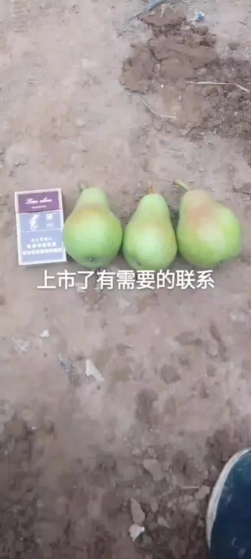 水果，香蕉梨