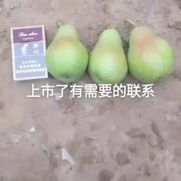 水果，香蕉梨