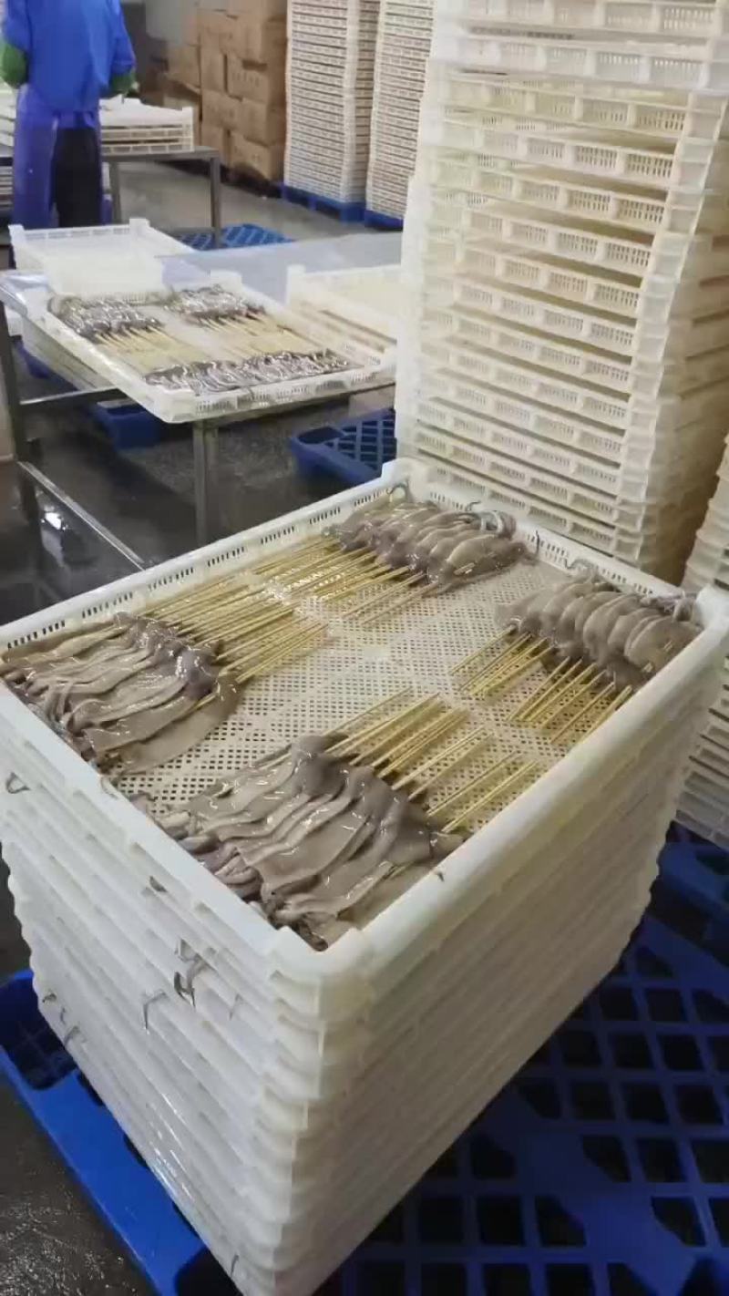 各种鱿鱼串量大从优。