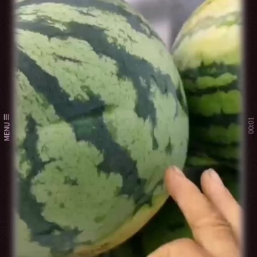精品无籽麒麟原秧头茬