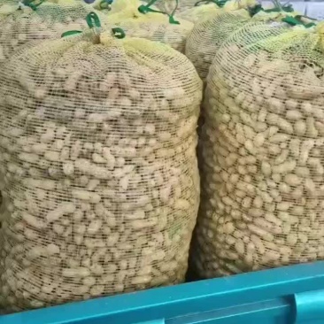 鲜花生