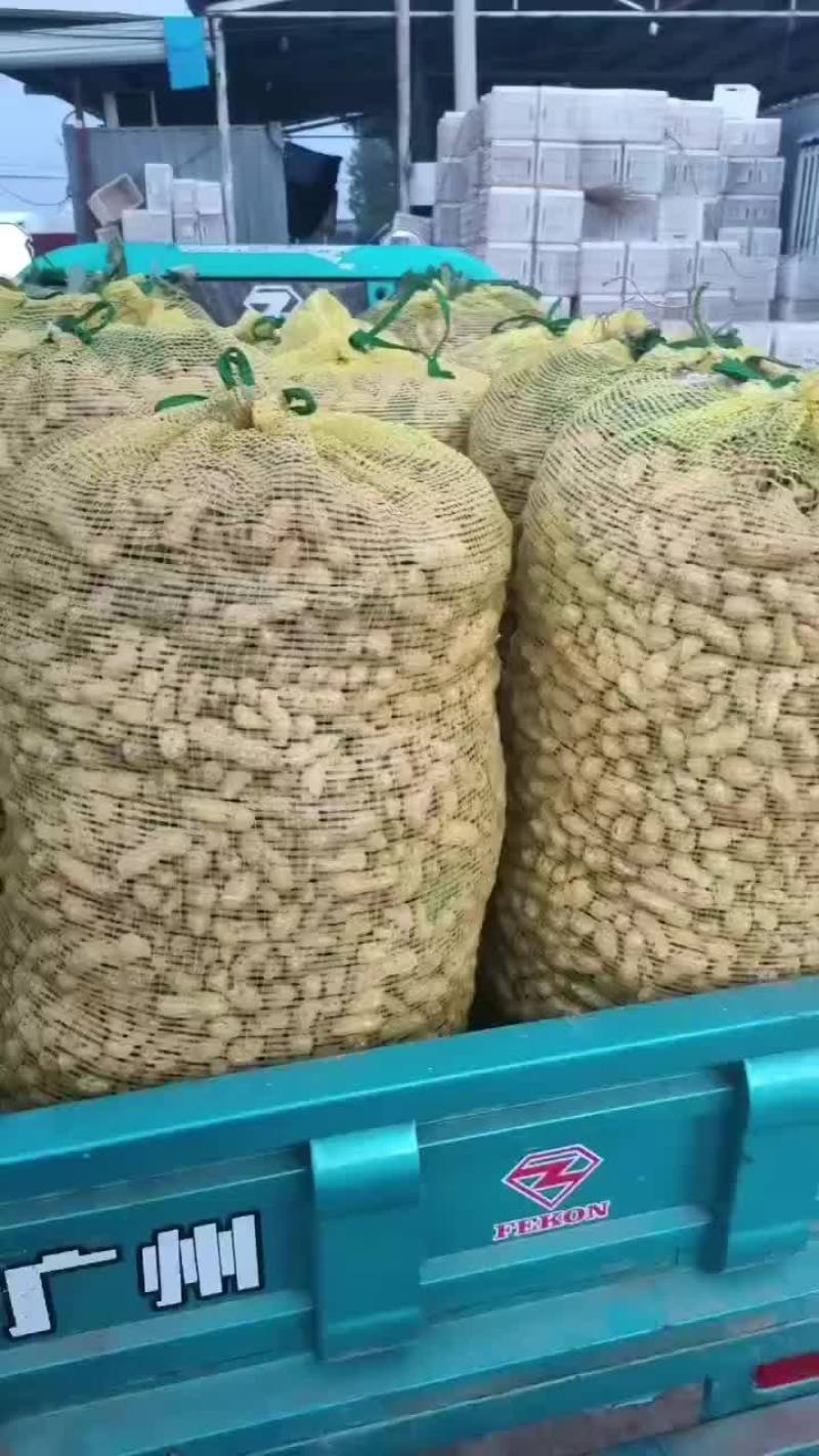 鲜花生