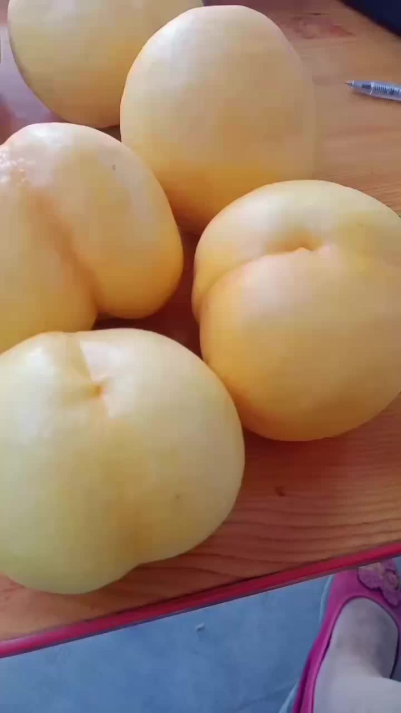 纸袋中油8号