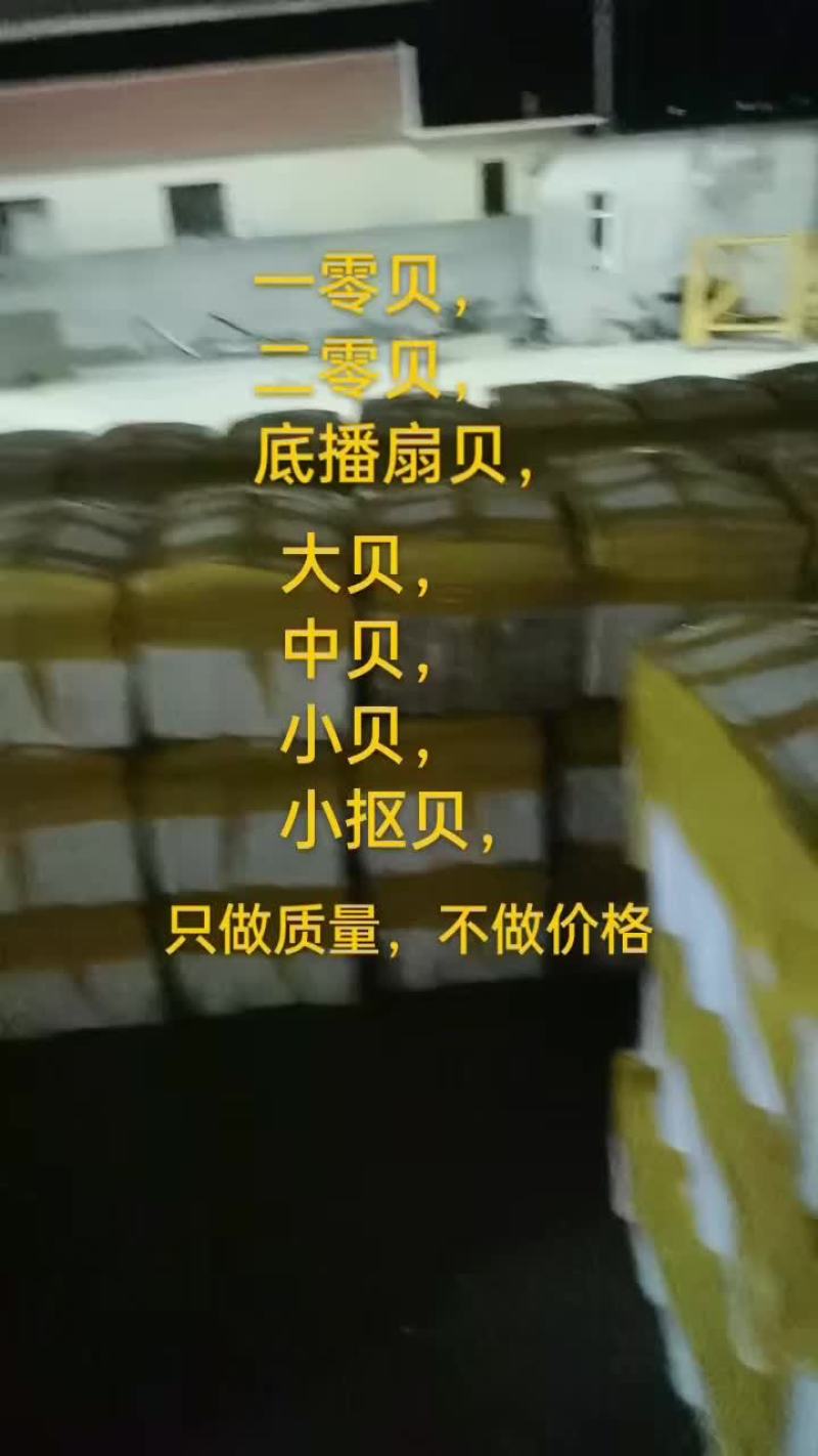 扇贝