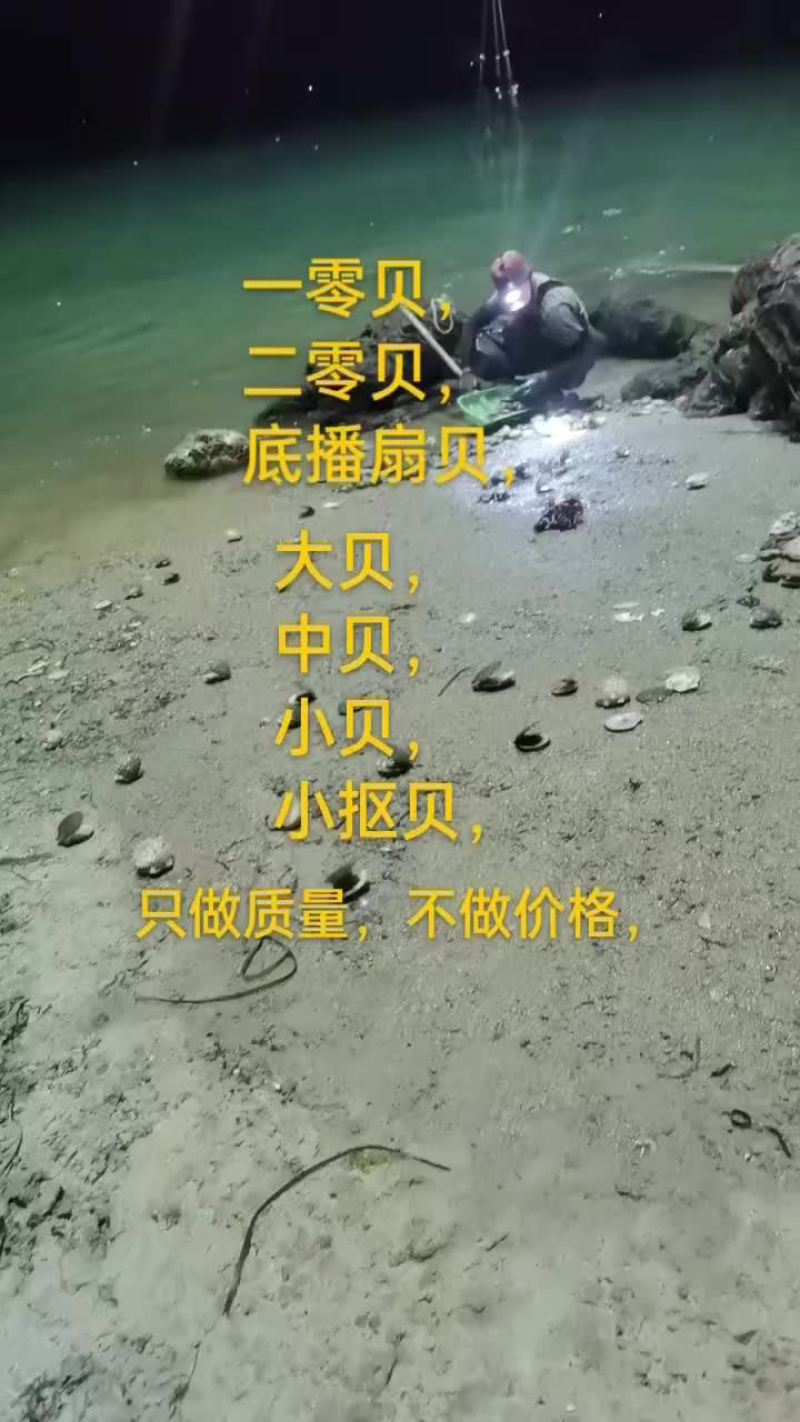 扇贝