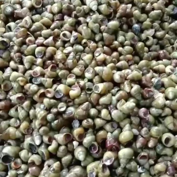 大量现货欢迎各位老板前来咨询