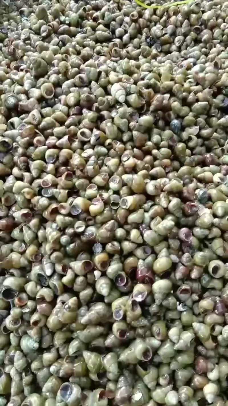 大量现货欢迎各位老板前来咨询