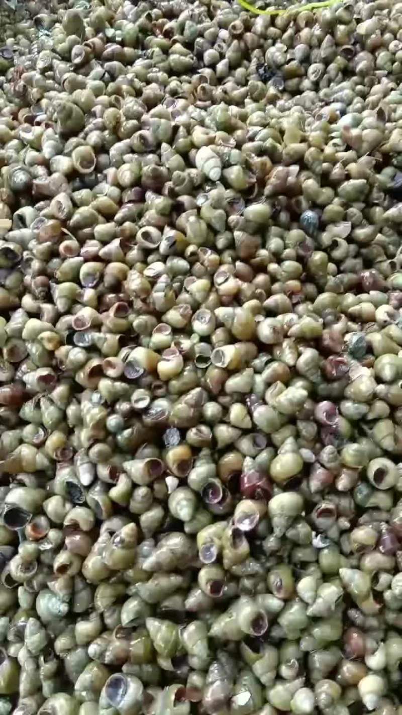 大量现货欢迎各位老板前来咨询