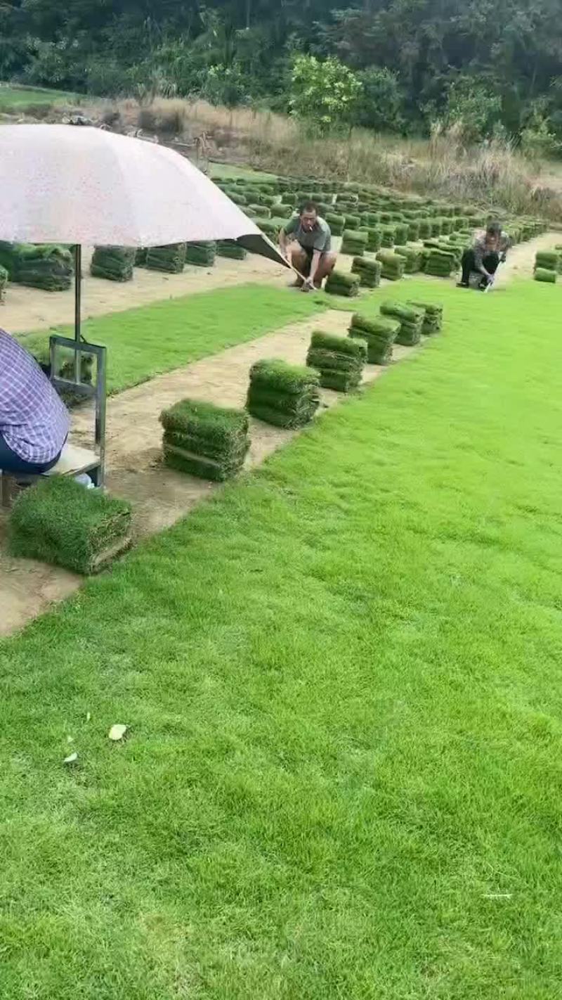 马尼拉